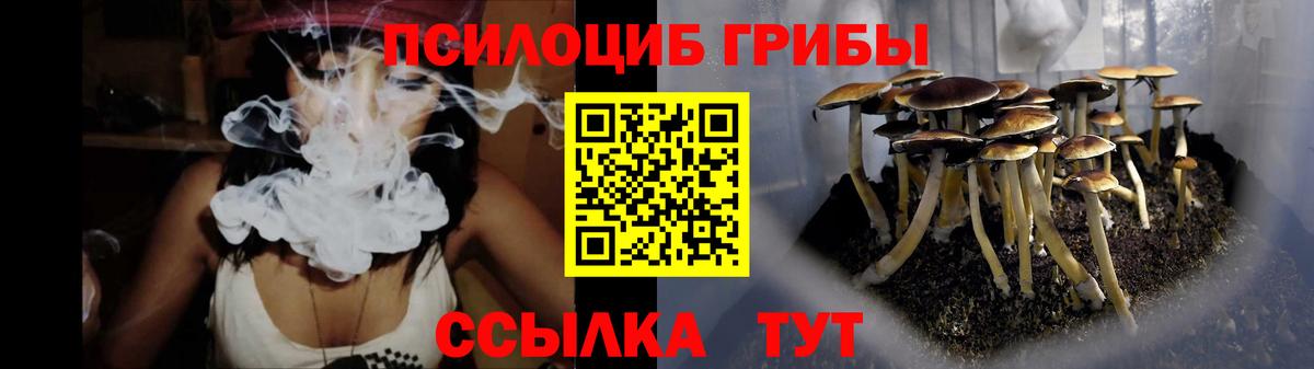 Галлюциногенные грибы ЛСД  Вход с VPN  Псилоцибиновые грибы Cubensis  Асино 