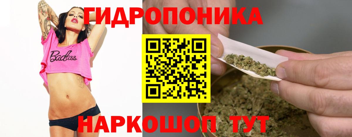 Бошки Шишки индика Асино